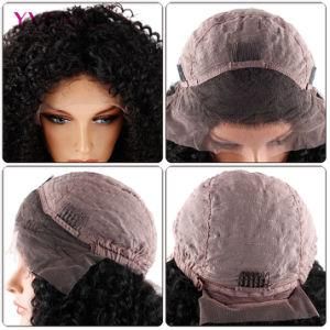 Wholesale Price 100% Brazilian Human Hair Lace Front Wig with High Density Malaysian Curly Wig