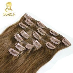 100% Virgin Remy Clip in Hair