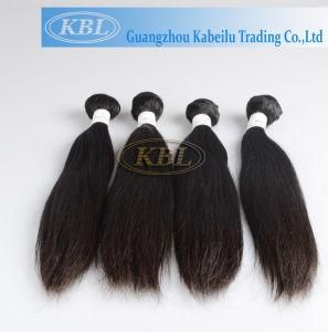 Silky Straight Malaysian Human Hair