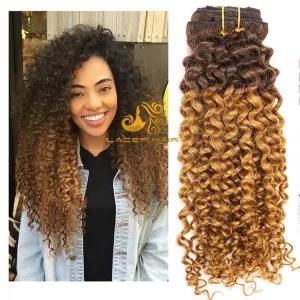 Jc27 Strawberry Blonde Jerry Curly 8&quot;-26&quot; Remy Human Hair Clip in Hair Extension in Stock