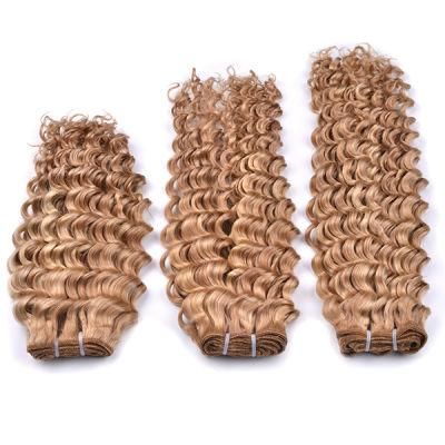 Two Tone Remy Human Hair Weft