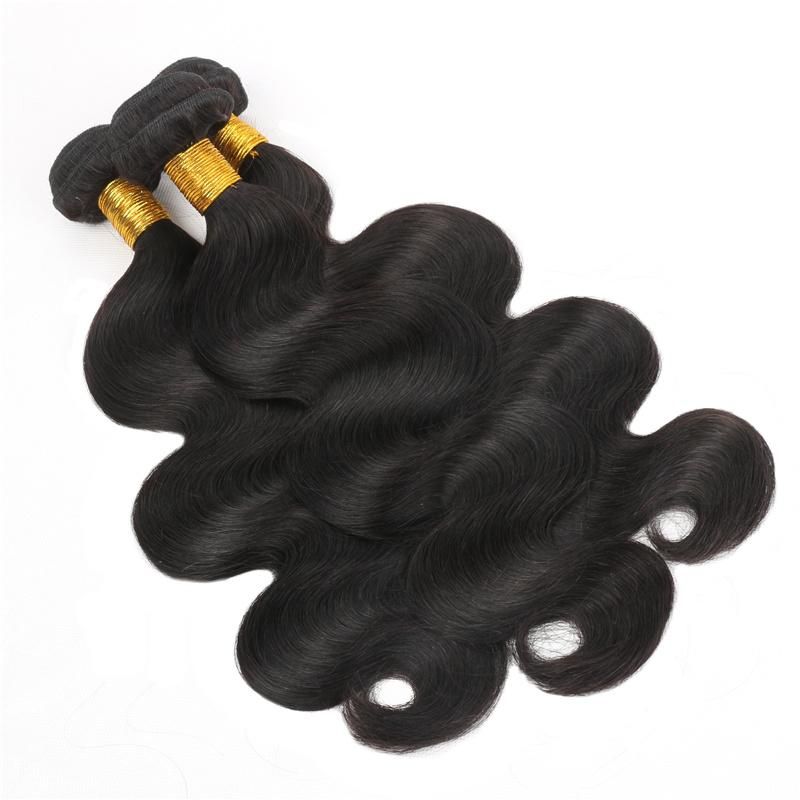 10A Grade Unprocessed Brazilian Virgin Human Hair Bundle