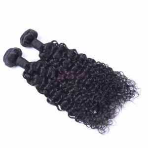 Indian Virgin Deep Curl Human Hair Extension with Closure