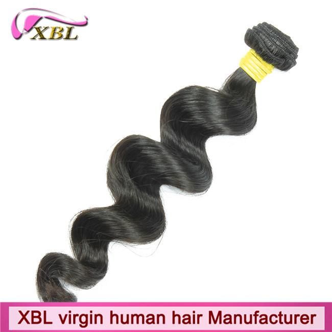 Unprocessed Loose Wave Natural Brazilian Virgin Hair