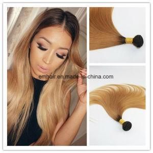 Hot Selling Wholesales Price Human Hair Brazilian Straight Ombre 1b/27 Straight Hair Weave in Stock