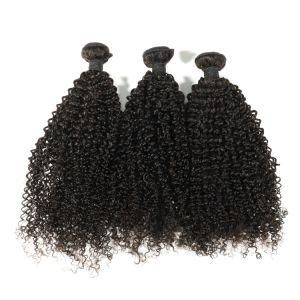 Raw Indian Virgin Cuticle Aligned Human Hair Extension