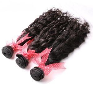 Women Long 100% Virgin Human Guangzhou Brazilian Hair Bundles