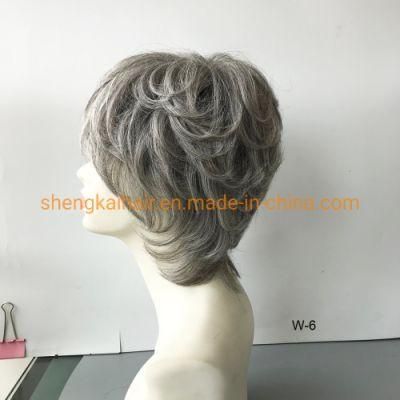 Premium Quality Full Handtied Grey Hair Color Women Hair Wigs