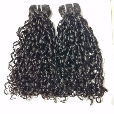 Wholesale Remy Virgin Hair Vendors Pixies Curls Human Hair