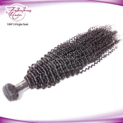 Popular Brazilian Human Hair Kinky Curly Remy Hair Extensions
