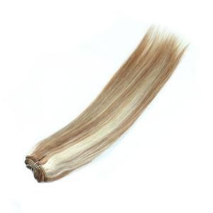 Wholesale Human Raw Unprocessed Virgin Indian Hair Weft