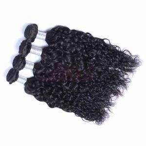 Natural Wave Indian Virgin Unprocessed Human Hair
