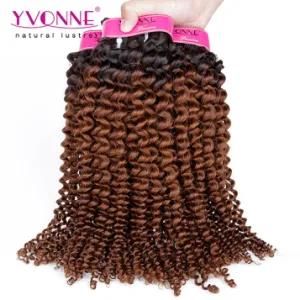 Fashion Brazilian Human Hair Product Ombre Hair Kinky Curl Color T1b/4