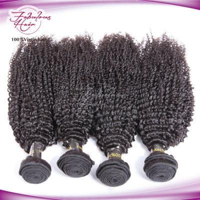 Mongolian Kinky Curly Hair Full Cuticle Natural Human Hair