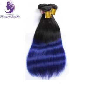 Noble 1b/Blue Silky Straight Human Remy Hair Weft