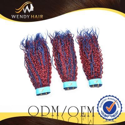Kinky Curl Virgin Indian Human Hair Weaving Human Hair