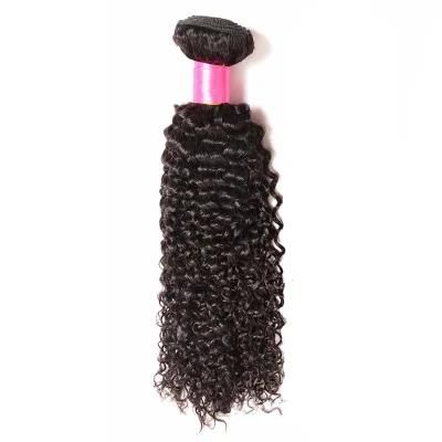 100% Human Hair Virgin Malaysian Hair