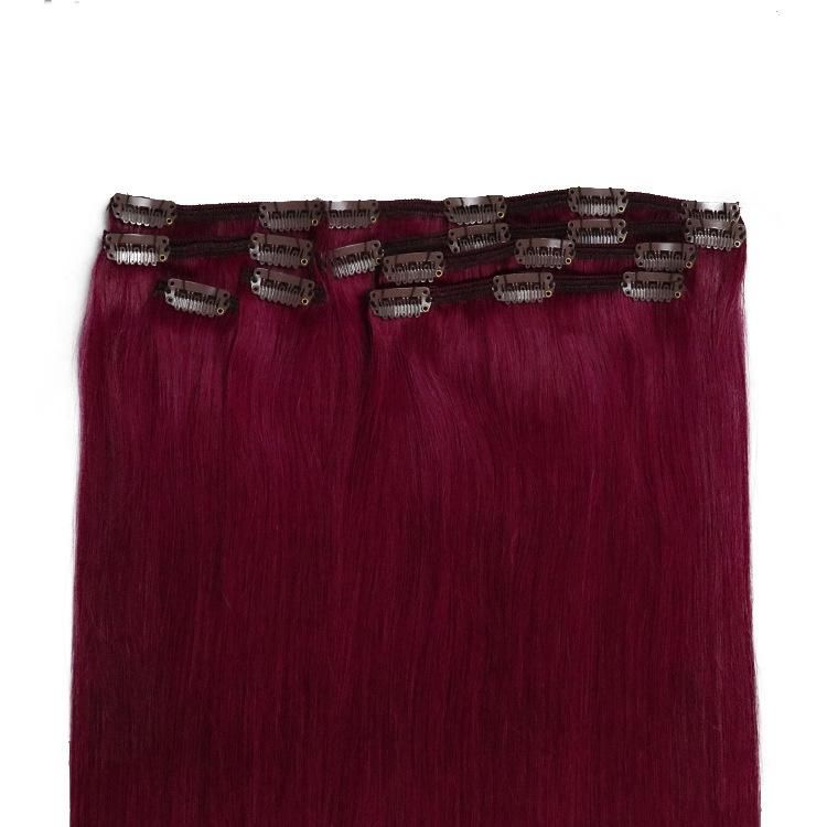 Indian Cuticle Aligned Human Hair Straight Clip in Hair Extensions #35