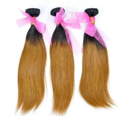 Brazilian Ombre Remy Human Hair Weft at Wholesale Price with SGS Approved (Straight #T1b/30)