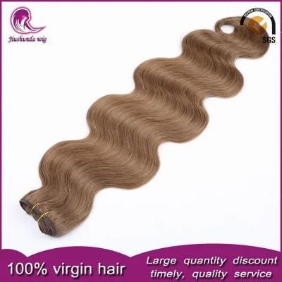 Color Hair Weft Malaysian Virgin Human Hair
