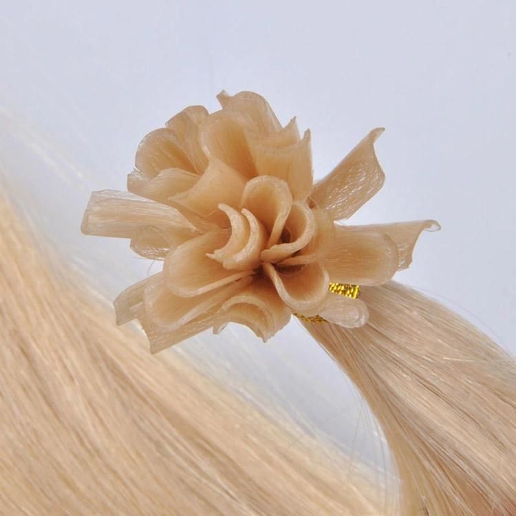 Fortune Beauty 2022 Double Drawn Remy U Tip Hair Extension Wholesale.