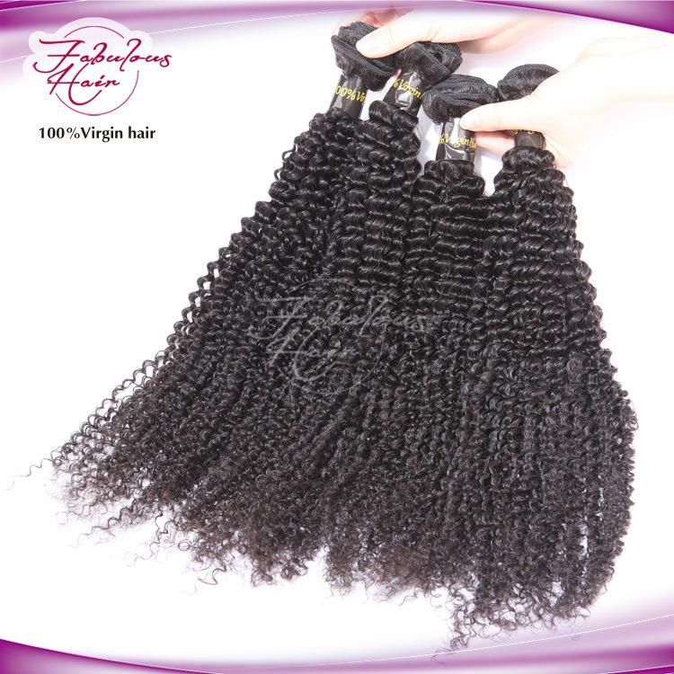 Double Drawn Kinky Curly Remy Virgin Brazilian Hair