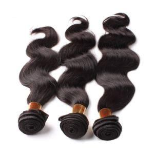 Remy Grade 10A Virgin Cuticle Aligned Human Hair Wave