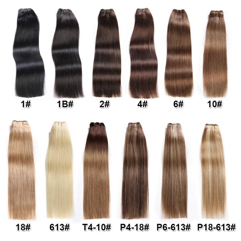 Brazilian Virgin Hair Silky Straight Dark Brown Color Hair Weft