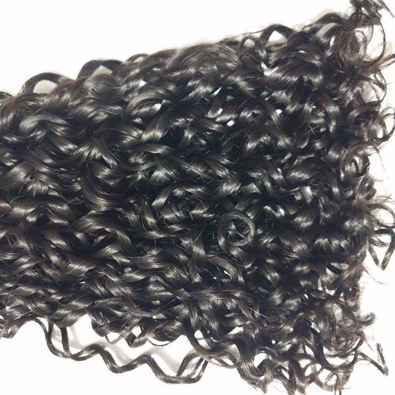Wholesale Remy Virgin Hair Vendors Pixies Curls Human Hair