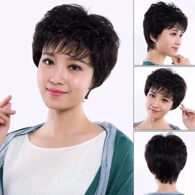 Pixie Wig Female Short Hair Short Straight Hair Fashion Natural Black Hair Headdress Wigs Brazilian Human Hair Wigs