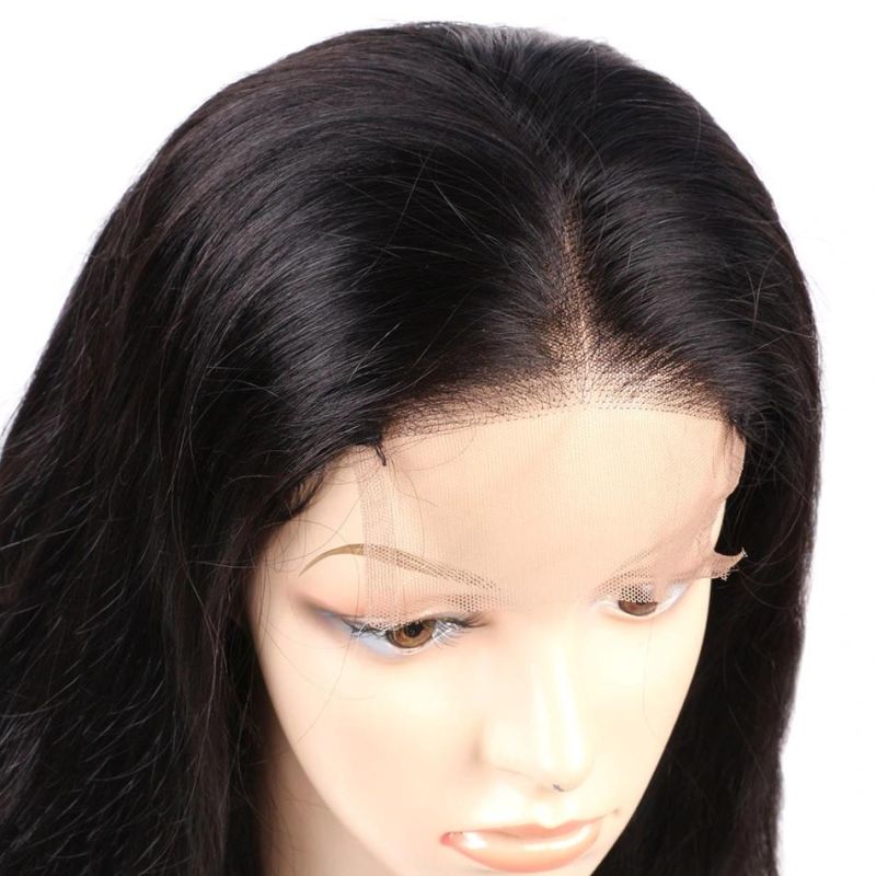 Wholesale Brazilian Virgin Hair HD Lace Front Wig with Baby Hair