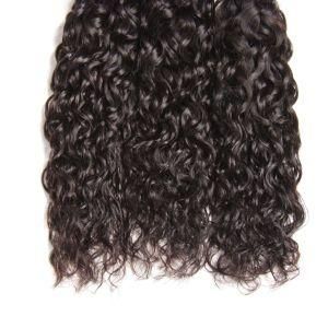 Peruvian Human Hair Water Wave Curly Virgin Hair Weaving