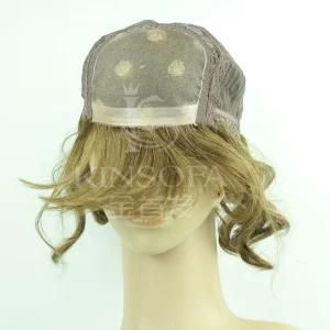 Top Grade 100% Human Hair Wigs (Kinsofa 248456)