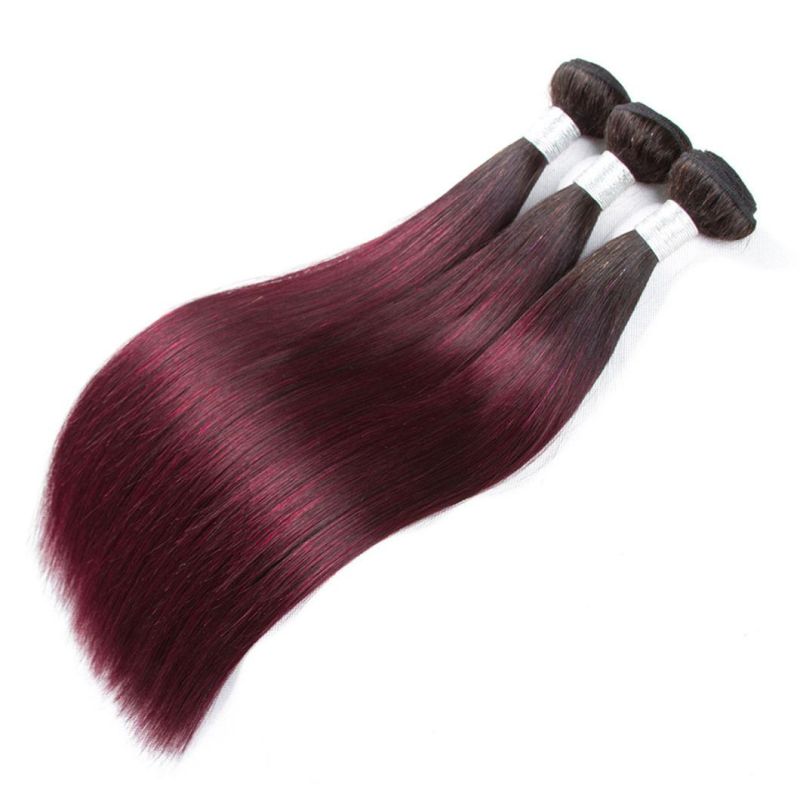 Bundles with Frontal Closure Ombre 99j Bundles with Frontal Blond Ombre Straight Human Hair Bundles with Frontal Lace