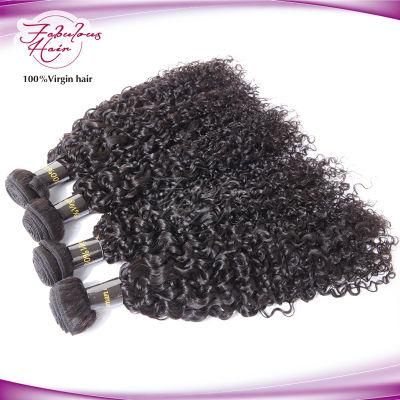Curly Unprocessed Mink Hair Virgin Hair Human Weave Bundles