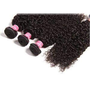 Natural Black Human Hair Curly Hair Weave Afro Kinky Curly Hair Weaving Bundles