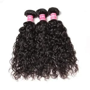 Brazilian Water Wave Hair Bundles Human Hair Weave