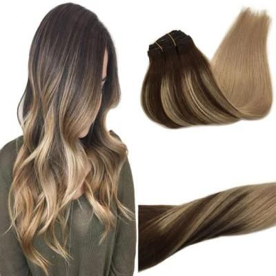 Brazilian Human Hair Extensions Full Head Clip in Remy Human Hair Straight Hair Extensions Multi Color 20 Inches Clip in