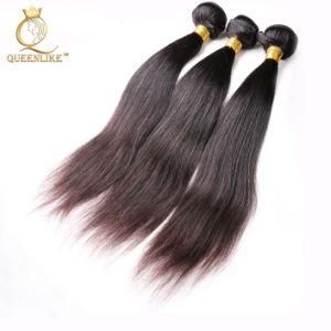 Mink Brazilian Cuticle Aligned Wholesale Virgin Straight Hair Bundle