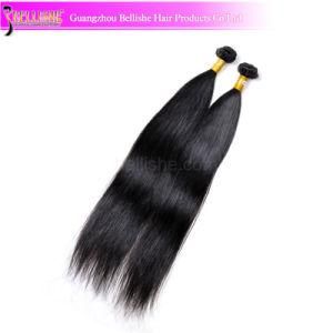 Silky Straight Virgin Remy Brazilian Hair with Outlet Price