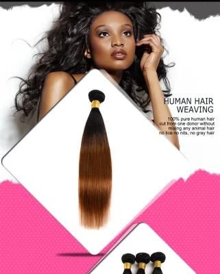 Alinybeauty Wholesale Straight Brazilian Human Hair Color 1b/30