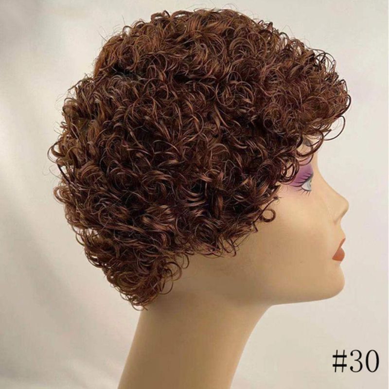 Curly Wig Human Hair Honey Blonde Human Hair Wigs Pixie Short Wigs Human Hair 150 Remy Brazilian Hair Wig