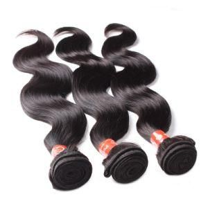Mink Raw 100% Human Virgin Brazilian Cuticle Aligned Hair Weft