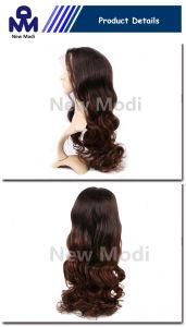 No Lice Human Hair Fashion Human Hair Full Lace Wig