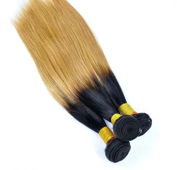 Brazilian Ombre Remy Human Hair at Wholesale Price with SGS Approved (Straight #1B/27)