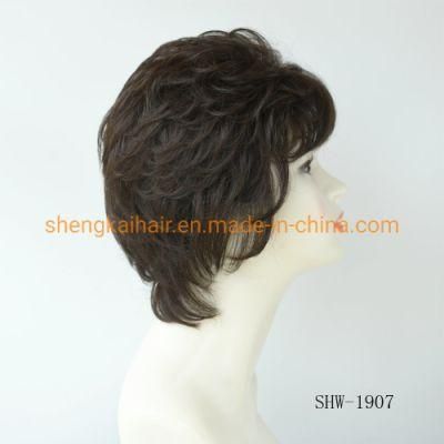 High Quality Fashion Handtied Synthetic Hair Women Hair Wigs