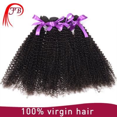 Unprocessed Virgin Hair Malaysian Afro Kinky Curl Sew in Hair Weave