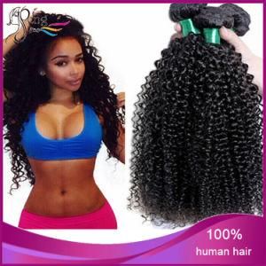 7A Grade Brazilian Unprocessed Human Kinky Curly Hair Extension