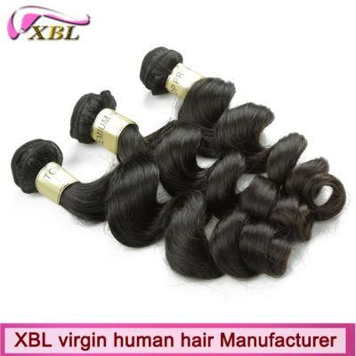 Virgin Hair Extension Unprocessed Brazilian Virgin Human Hair