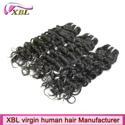 Top Quality Whoelsale Price Hair Weavon Xbl Hair